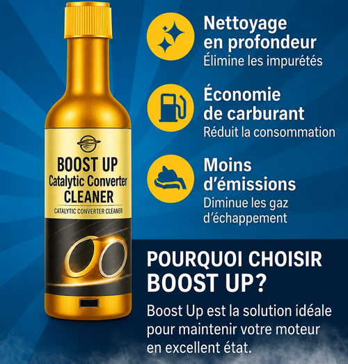 L'économiseur de Carburant Boost Up- Nettoyant pour catalyseur